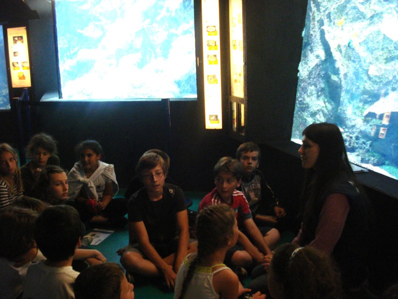 aquarium (20).jpg